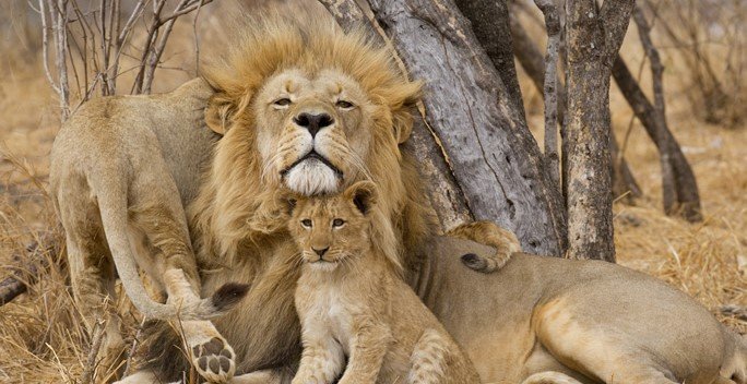 3 Days Safari in Ruaha from Dar es Salaam