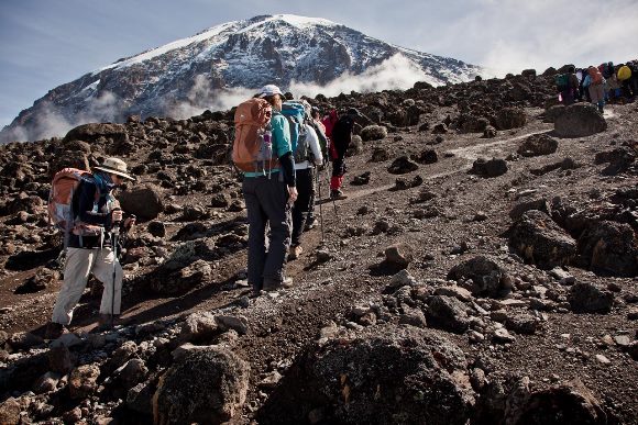 7 Days Rongai Route Kilimanjaro