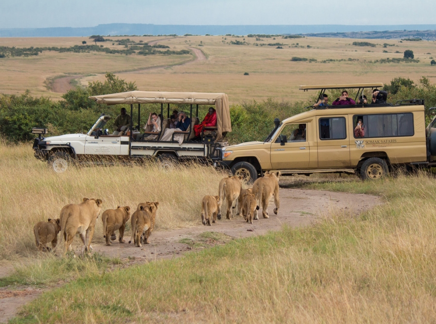 11 Days Self Drive Safari in Tarangire, Serengeti & Ngorongoro Crater