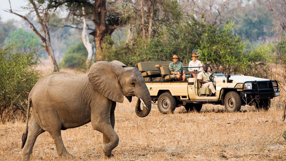 Game Drive in Open sided vehicle