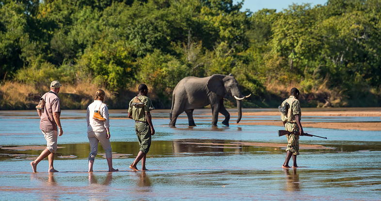 Walking Safari Zambia