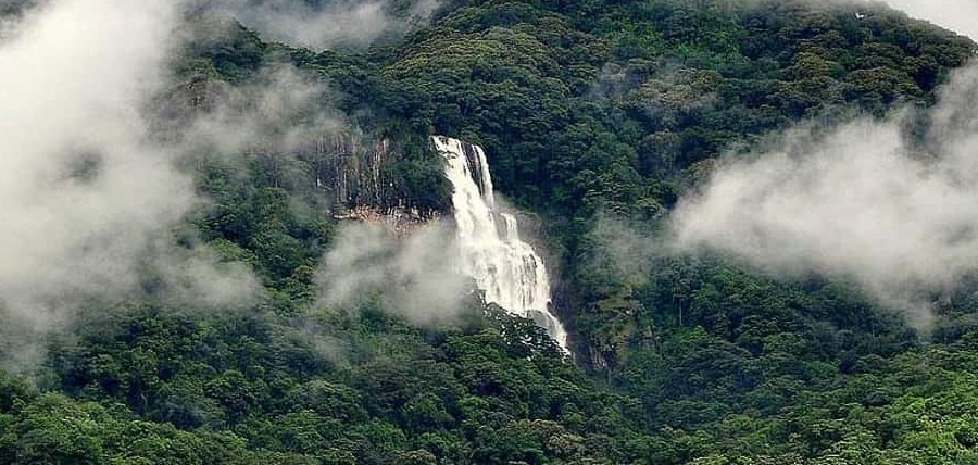 Mikumi Udzungwa Safari