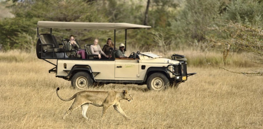 Selous Mikumi Safari