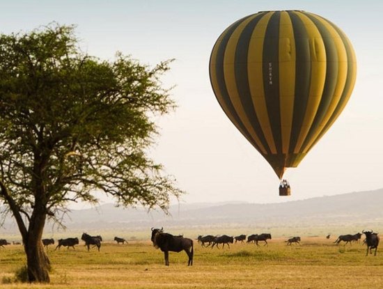 Baloon Safari Tanzania