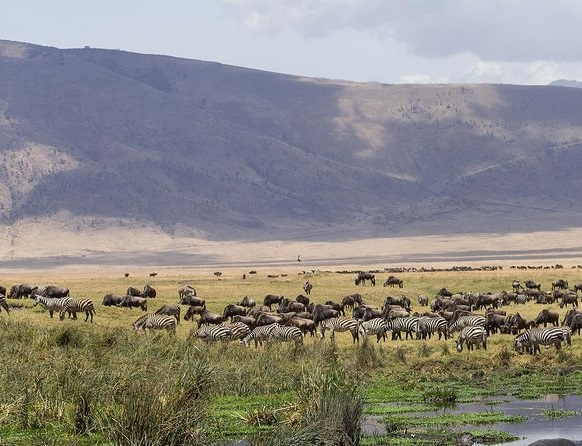 Ngorongoro Crater Tanzania