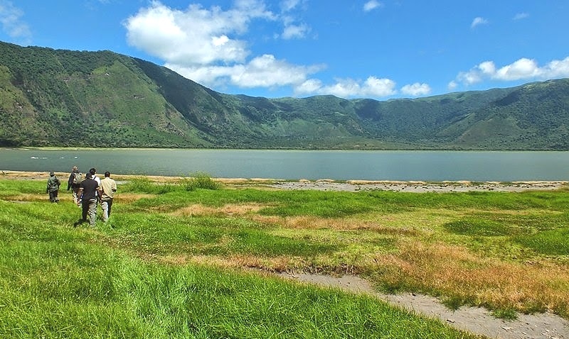 Exploring the Ngorongoro Walking Safari and Ol Doinyo Lengai Trekking