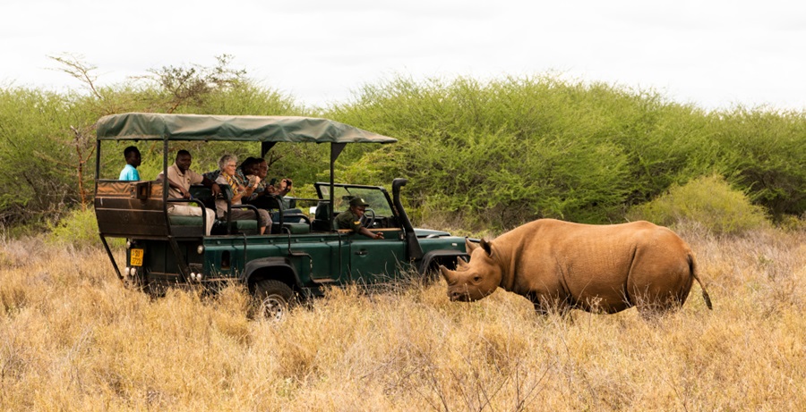 2-Day Mkomazi Safari & Rhino Tour