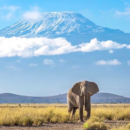 Mount Kilimanjaro Tanzania