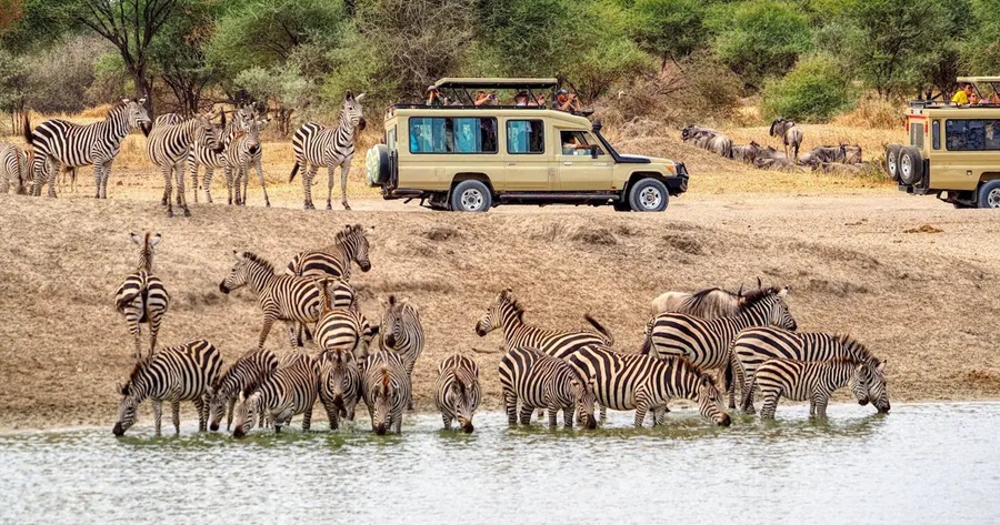 Cheap African Safari