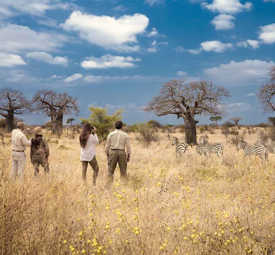 Walking Safari Tanzania