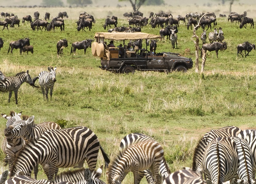 Tanzania Safari Tours