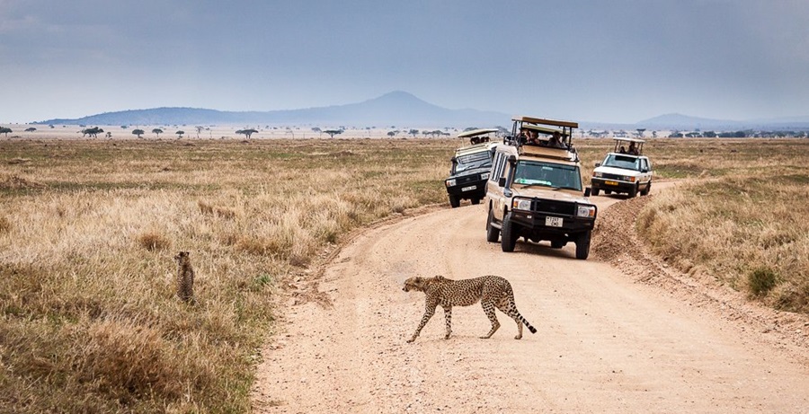 Joining Safari Tanzania