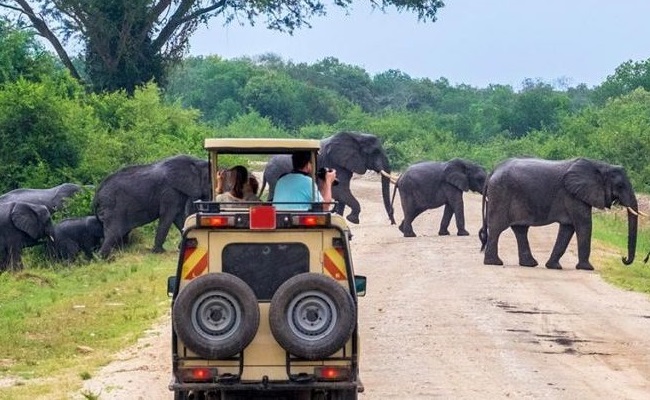 Self Drive Safari Tanzania