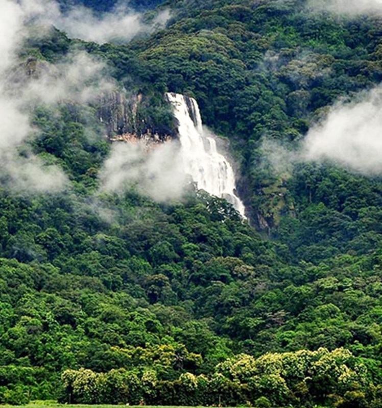 Udzungwa Mountains Tanzania