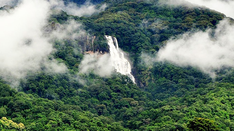 Trekking Udzungwa Mountains